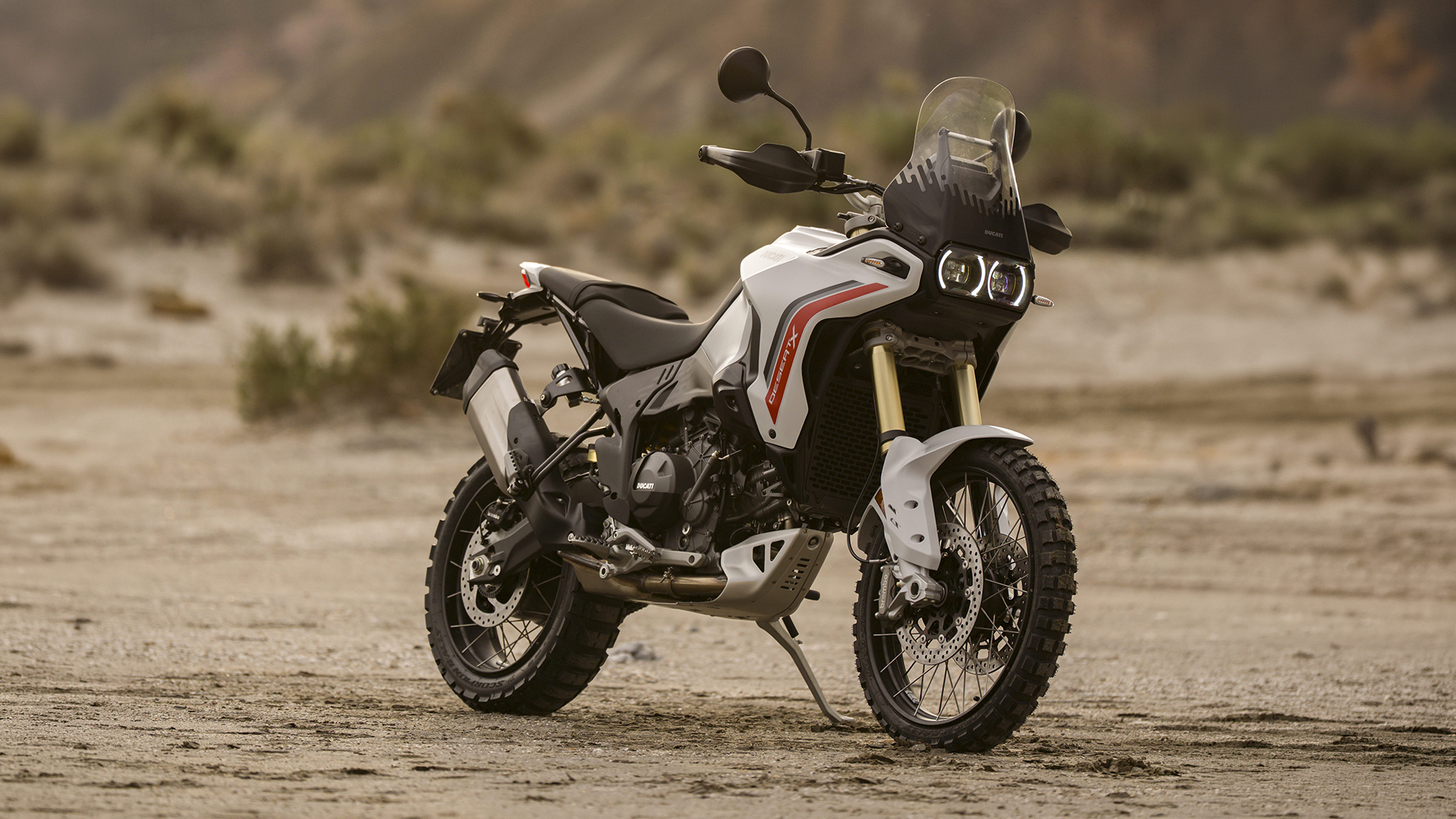 Nueva Ducati DesertX V2 2026 alquiler Canarias